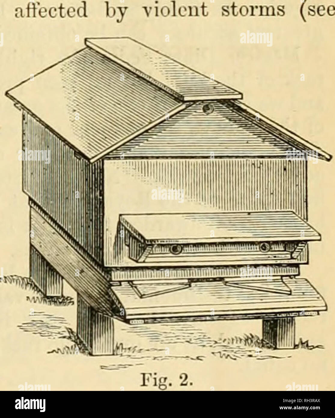 . British bee ufficiale &AMP; gli apicoltori consigliere. Le api. Fig. 1. dieci trame standard, con G. prossimo e figli" migliorata estremità metalliche e i lati sono a doppia parete. Le modalità di ottenimento di un raddoppio forma scatolare la speciale novità e ingegnosità dell'alveare. Si noterà dai disegni incisioni (Fig. 1) che la cassetta superiore (c), immediatamente al di sotto del tetto, è un po' più ampia di stock di alveare (a), che è il più basso. Quattro strisce o filetti sono inchiodati in prossimità del bordo interno, e queste consentono il raddoppio casella a poggiare sulla sommità dello stock di alveare. Sul lato cither sono spostabili battute (e-e), s Foto Stock