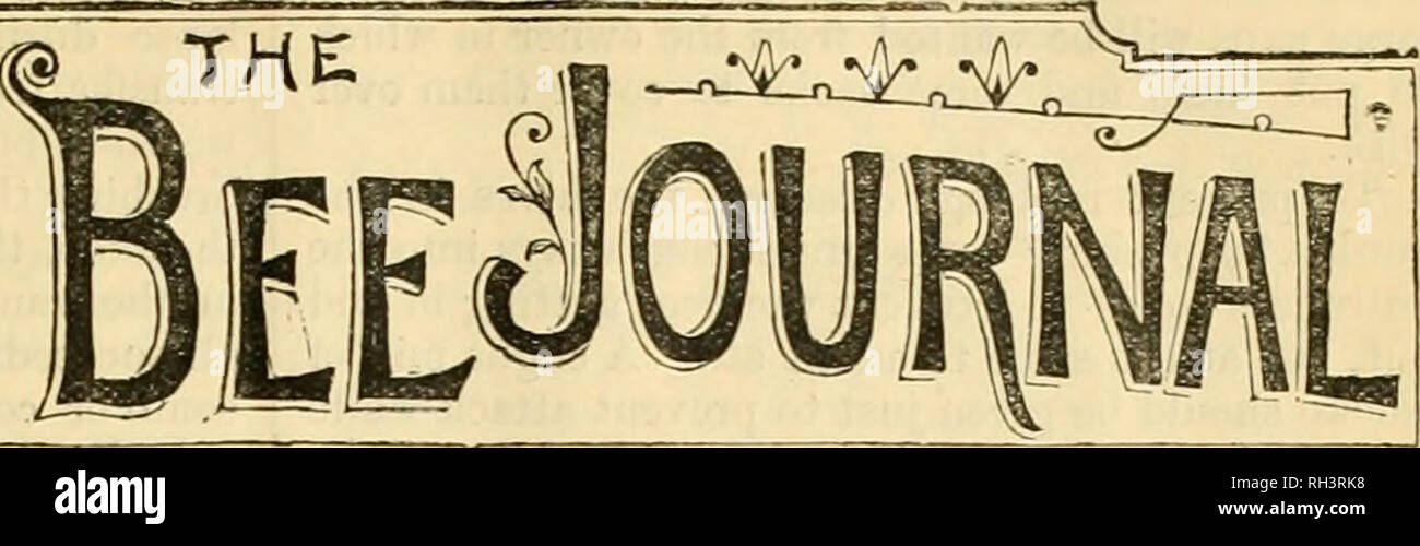 . British bee ufficiale &AMP; gli apicoltori consigliere. Le api. Le comunicazioni per l'Editor per essere affrontato ' Stranqeways' ufficio stampa, Tower Street, St. Martin's Lane, w.c. [N. 212. Vol. XIV.] luglio 15, 188G. [Pubblicato settimanalmente.] (Editoriale, goltas, montare. BRITISH APICOLTORI'.L'associazione. Una riunione del Comitato si è svolta a 105 Jermyn Street, mercoledì 7 luglio. Presente : T. W. Cowan in cattedra, l'on. e P. H. Bligh, Capitano Bush, R.N., capitano";Campbell, il Rev. F. G. Jenyns, il Rev. J. L. Seager, il Rev. F. S. Sclater, J. M. Hooker, e il Segretario. Le lettere sono state lette da D Foto Stock