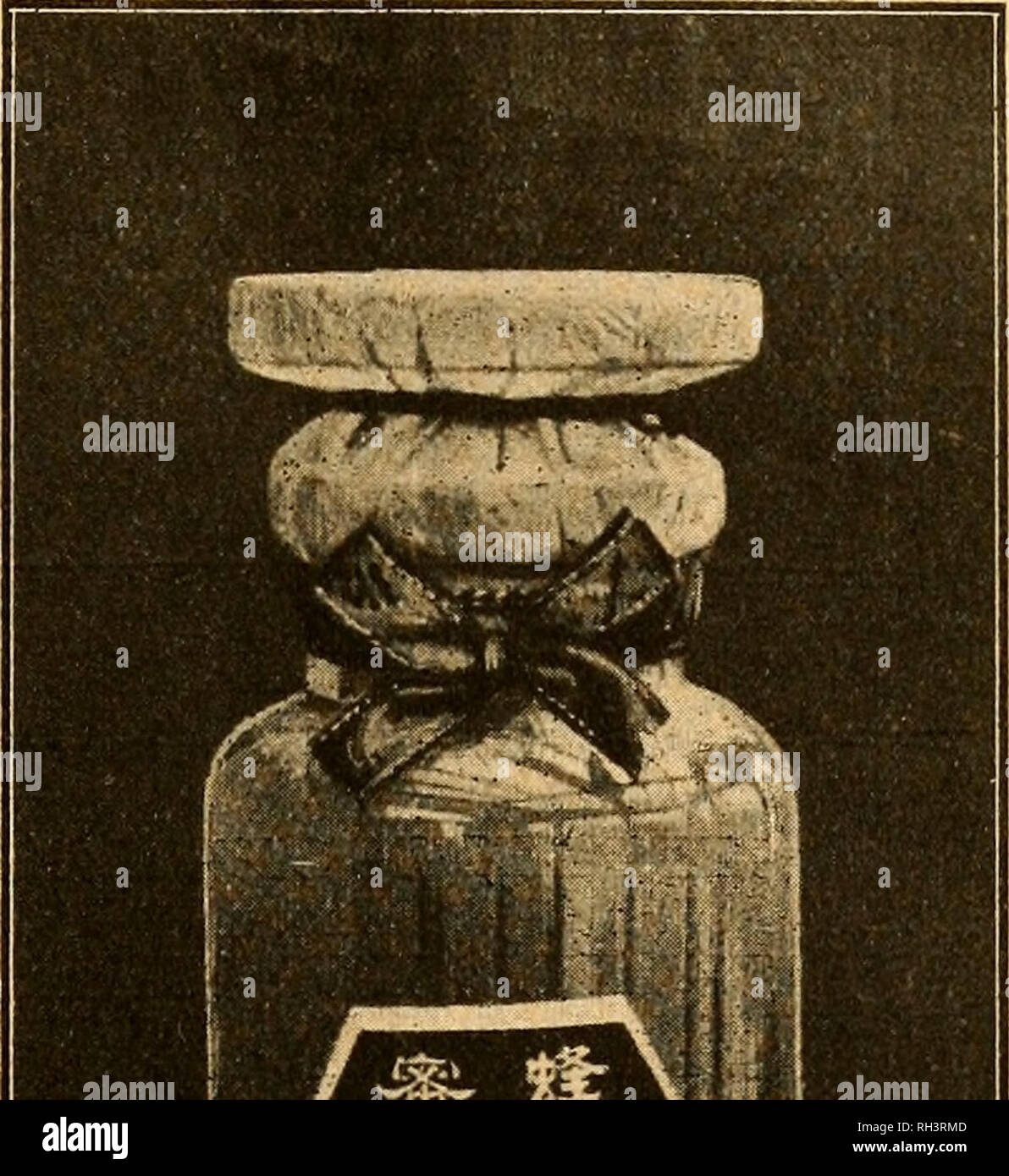 . British bee ufficiale &AMP; gli apicoltori consigliere. Le api. Febbraio 9, 1905.] LA BRITISH BEE UFFICIALE. 59 ringraziandovi per ultimi consigli, mi invia il nome, ecc, e simbolo di un principiante, Glos. Risposta.-1. Per l'occhio praticata è facile giudicare se un magazzino non è queenless. Il principiante deve giudicare dalle attività delle api e dalla loro realizzazione di polline in primavera. 2. Sì, se non vi è nessun polline naturale vicino, ma non altrimenti. In caso di necessità a partire tutti in una volta. 3. Sì; se portato in modo liberamente. 4. Salici, ginestre, crocus, e la maggior parte delle prime piante fiorite. 5. Inizio della primavera è quasi come pericolosi come l'autunno per " rubare,&quo Foto Stock