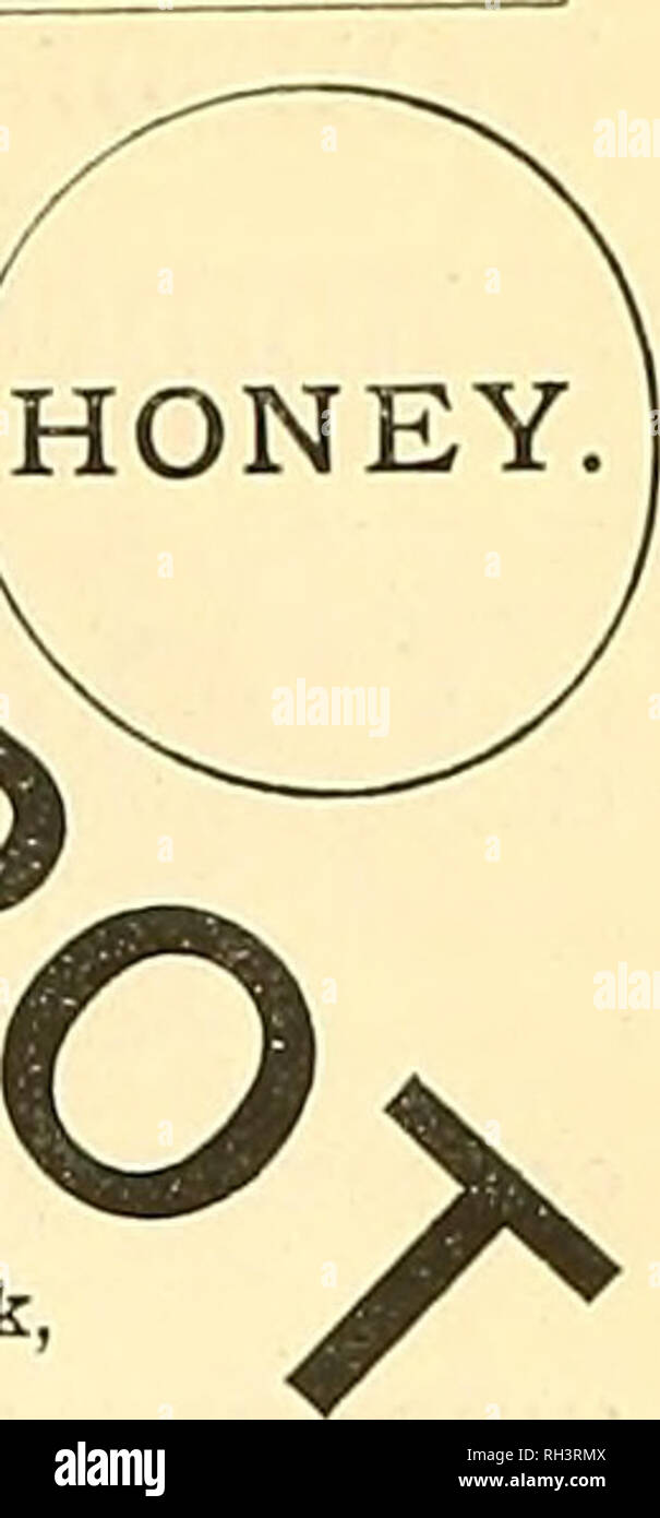 . British bee ufficiale &AMP; gli apicoltori consigliere. Api. etVTRAL 0 (.. 23 CORNHILL, E,Câ ^^d opposto al Royal Exchange, e a cinque minuti a piedi di Cannon Street Station, Liverpool Street, Broad Street e stazioni della metropolitana e vicino alla banca, a cui Omnibuses eseguito da tutte le parti di Londra.. -*Â"...* **â ¦*â ¦ * * â ¦*â¦â &gt;â¦â &gt;â ¦*â ¦ * * Â"Â"â¢Â"Â"â ¦* Â" * â¦Â"â ¦*Â"- alveari. ' Giubileo", 5/-; Super, 1/6. Superiore a molti la Guinea alveari. ' IMPERIAL', 12/-. Per il raddoppio. Entrambi i suddetti prendere B.B.K.A. Trame standard. "JONES-HEDDON", 14/6, composta da completare. Â Â 17/6, dipinto, &AMP; wit Foto Stock