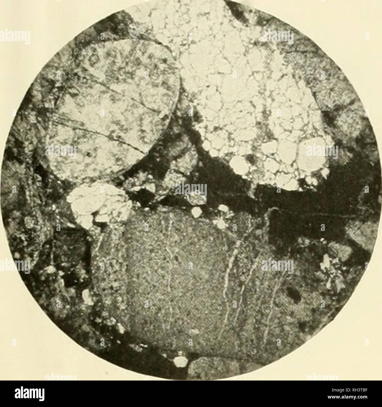 . British Antarctic Expedition, 1907-9, sotto il comando di E.H. Shackleton : Relazioni sulle indagini scientifiche ; la geologia. Spedizioni scientifiche; storia naturale; la geologia e paleontologia; Petrologia; ghiaccio. Piastra I. n. 3 X 5 diams Fig. 1 Io breccia calcarea, Cloudmaker, con frammenti di Arehaeocyathinae dolomitised calcare, frammenti di quarzo e successivamente vene di calcite.. Si prega di notare che queste immagini vengono estratte dalla pagina sottoposta a scansione di immagini che possono essere state migliorate digitalmente per la leggibilità - Colorazione e aspetto di queste illustrazioni potrebbero non perfettamente assomigliano al lavoro originale. Sh Foto Stock