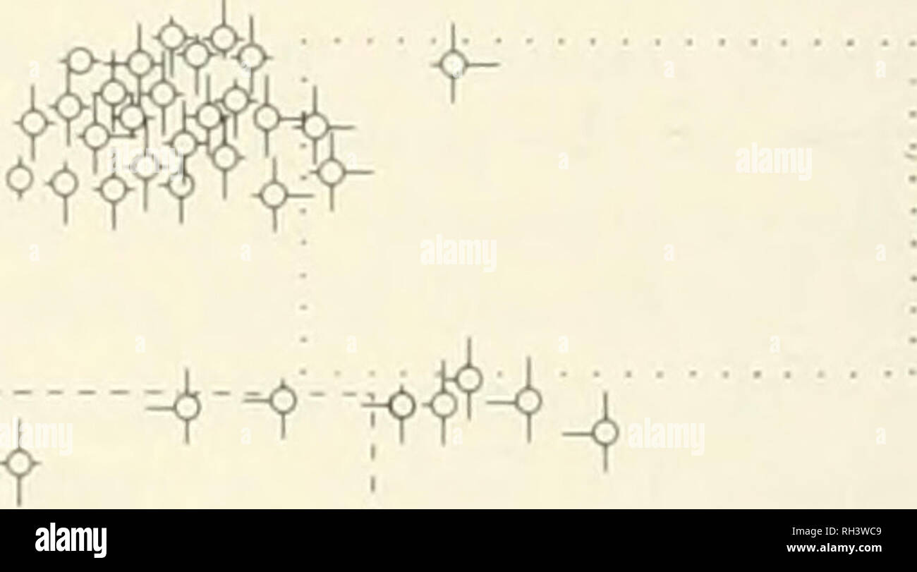 . La Brigham Young University science bollettino. Biologia -- periodici. 100 Bricham Young University Science bollettino in awn lunghezza dei genitori putativi (cfr. tabella 12). Numerosi altri luoghi di raccolta aveva popu- relazioni con i modelli intiogression simile a quella di Raymondville, compresi Pavvelekville, Pettus e Rio Grande città (Fig. 60). Chloris andropogonoides x C. verticillata il sito di raccolta per questa popolazione è in Edwards County, Texas, sui terreni del Texas A e M Stazione Sperimentale circa 25 miglia a nord-ovest di Rock Springs (Fig. 60). Mentre i "buoni" Cliloris Foto Stock