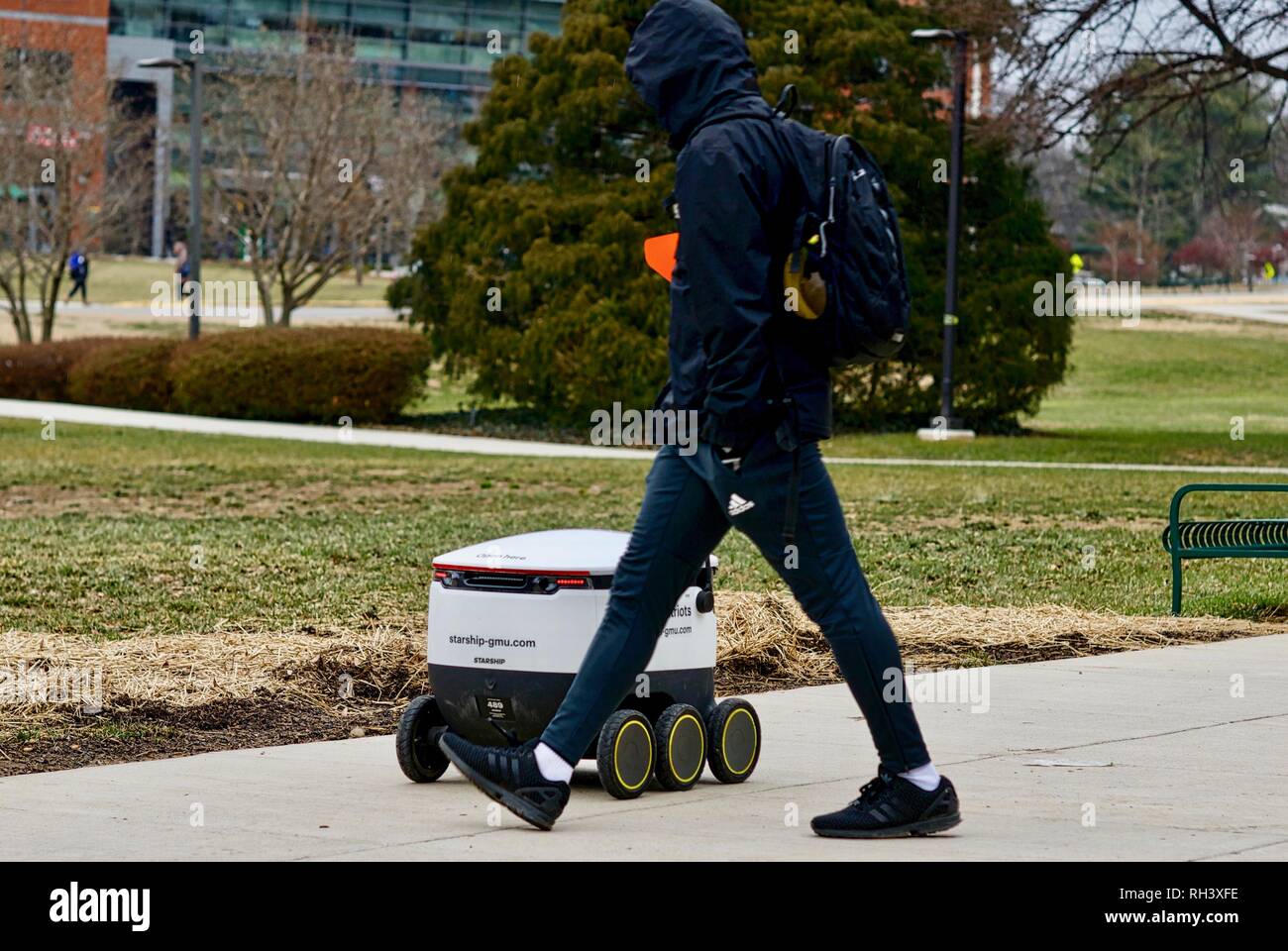 Fairfax, Virginia, Stati Uniti d'America - 29 Gennaio 2019: Un autonomo Consegna del cibo il robot si sposta lungo il tragitto per un cliente su George Mason University il campus principale. Foto Stock