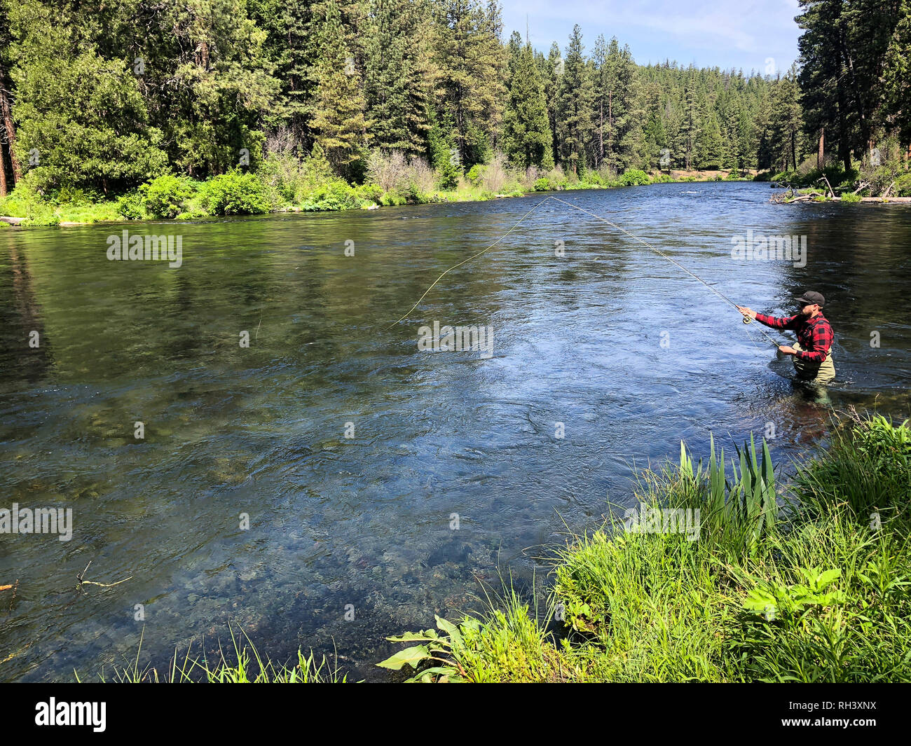 Fiume Metolius Oregon Fly Fishing Viaggio con la colata del pescatore Foto Stock