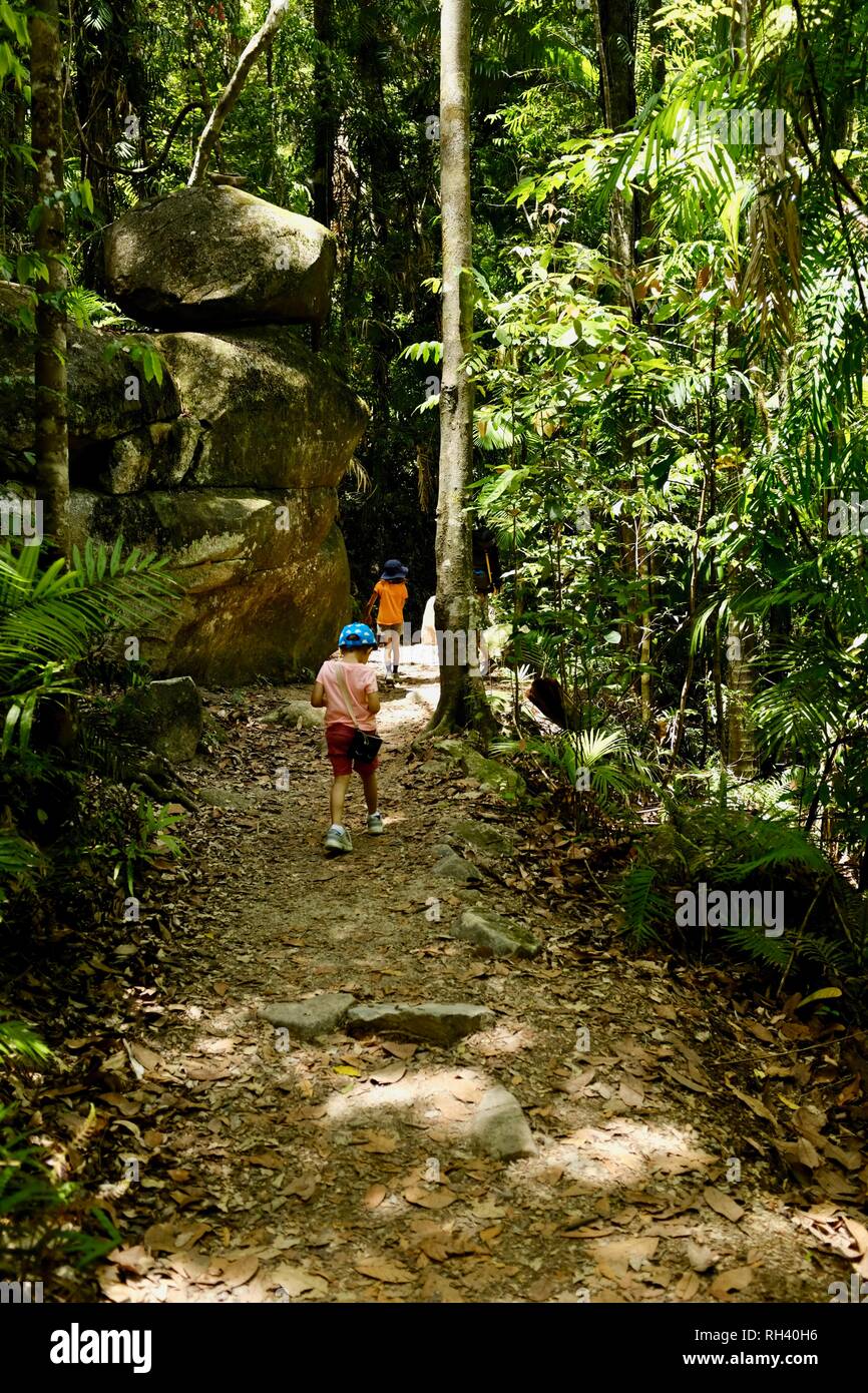 Una famiglia a piedi attraverso una foresta pluviale tropicale, Finch Hatton, Queensland 4756, Australia Foto Stock