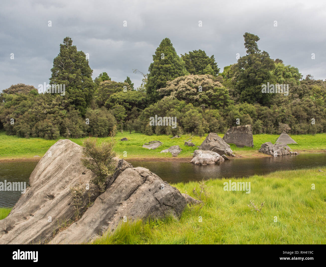 Effimero di zone umide in estate, bellissimo paesaggio tranquillo ambiente naturale, Lago Kiriopukae, Te Urewera National Park, North Island, Nuova Zelanda Foto Stock