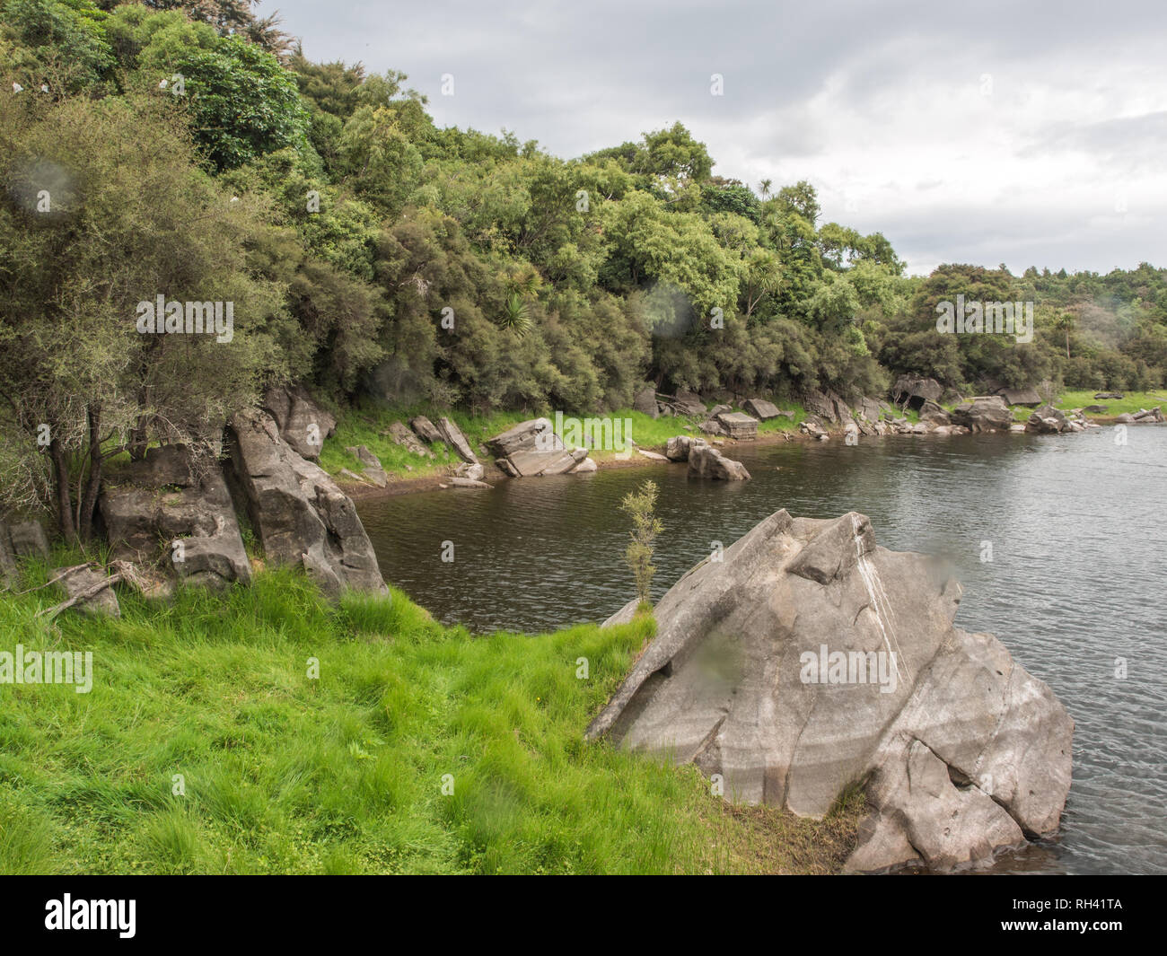 Effimero di zone umide in estate, bellissimo paesaggio tranquillo ambiente naturale, Lago Kiriopukae, Te Urewera National Park, North Island, Nuova Zelanda Foto Stock