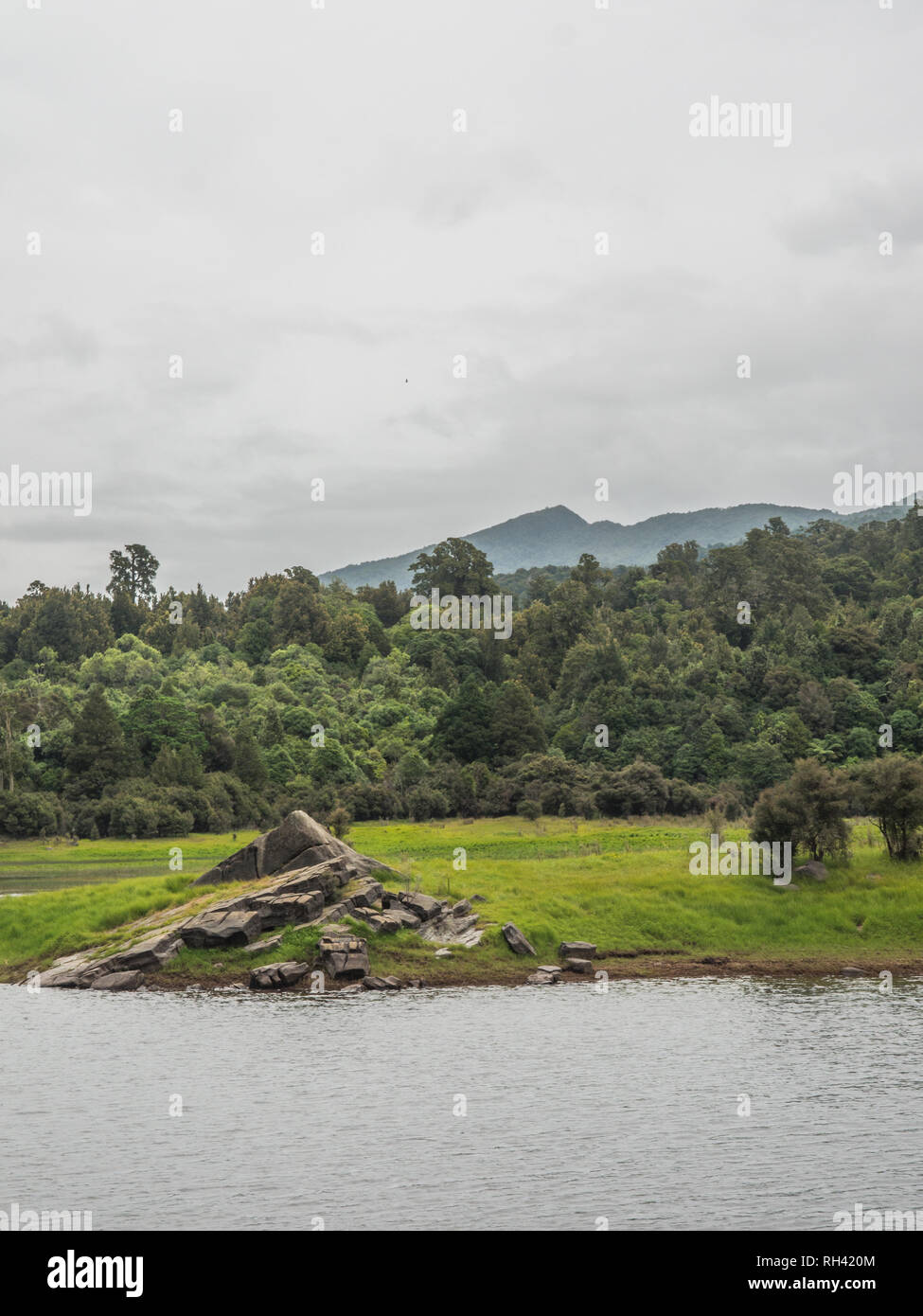 Effimero di zone umide in estate, bellissimo paesaggio tranquillo ambiente naturale, Lago Kiriopukae, Te Urewera National Park, North Island, Nuova Zelanda Foto Stock