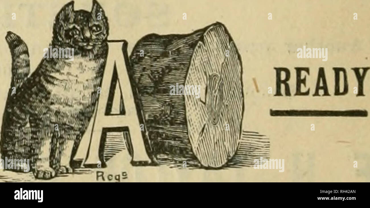 . British bee ufficiale &AMP; gli apicoltori consigliere. Le api. 1 *§ft"BR&amp; $$ i Concessionari e gli apicoltori vedrà i suddetti marchi stampigliato .su ogni pacchetto originale di root, erbacce e sulla slitta all interno di ogni tale confezione, dal 1 lb. al 50 lb. dimensioni. " WEED " eccelle su tutte le altre fondazioni in puro- ness, con impossibilità di comunicare fallo germi di covata, tenacità e conseguente economicità, facilità di movimentazione in tutti i tempi senza rotture e accettazione da parte dell'api. Queste rivendicazioni sono ora copiati dai fornitori di altre fondazioni importati che, non essendo effettuata su una macchina di erbaccia, non è in grado di Foto Stock