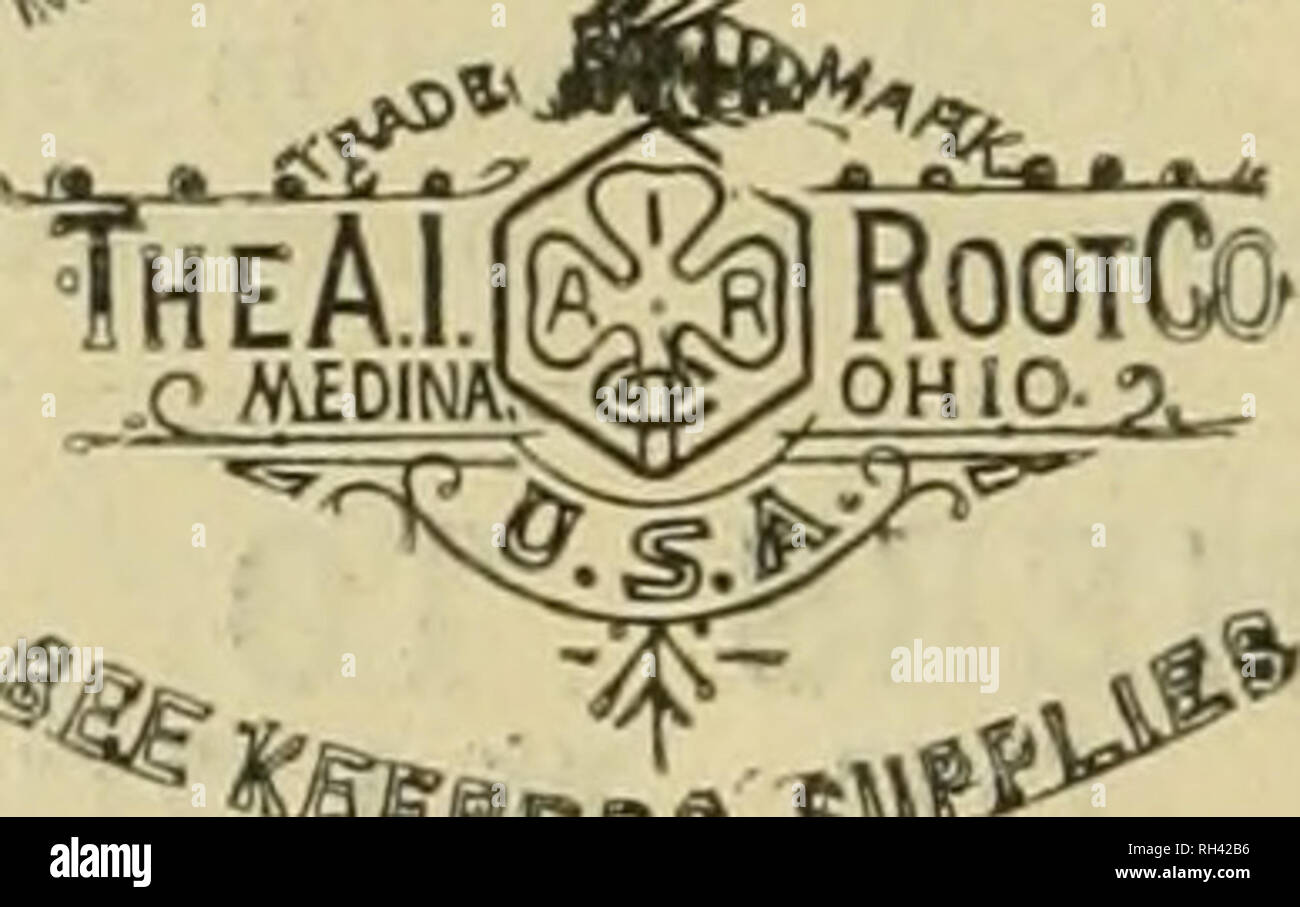 . British bee ufficiale &AMP; gli apicoltori consigliere. Le api. 1 *§ft"BR&amp; $$ i Concessionari e gli apicoltori vedrà i suddetti marchi stampigliato .su ogni pacchetto originale di root, erbacce e sulla slitta all interno di ogni tale confezione, dal 1 lb. al 50 lb. dimensioni. " WEED " eccelle su tutte le altre fondazioni in puro- ness, con impossibilità di comunicare fallo germi di covata, tenacità e conseguente economicità, facilità di movimentazione in tutti i tempi senza rotture e accettazione da parte dell'api. Queste rivendicazioni sono ora copiati dai fornitori di altre fondazioni importati che, non essendo effettuata su una macchina di erbaccia, non è in grado di Foto Stock