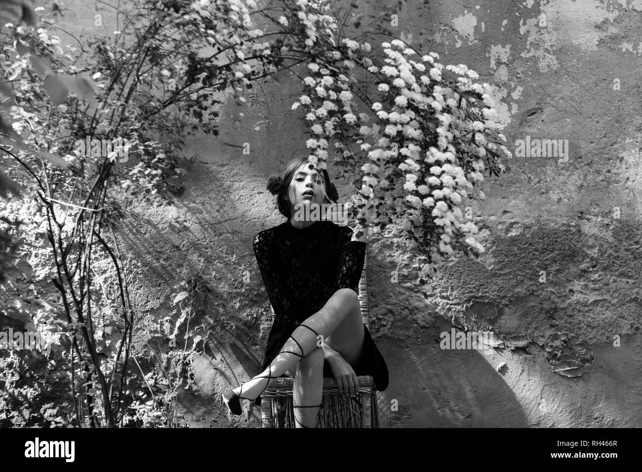 Donna o ragazza carina, alla moda giovane modello con labbra rosse, rose nei capelli in nero Abito in pizzo seduto sulla sedia di vimini sotto la boccola con il bianco della fioritura Foto Stock