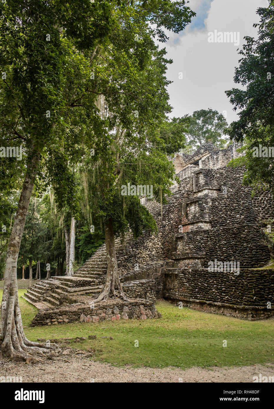 Vista laterale del tempio Maya di Dzibanche nella foresta pluviale del Messico. Foto Stock