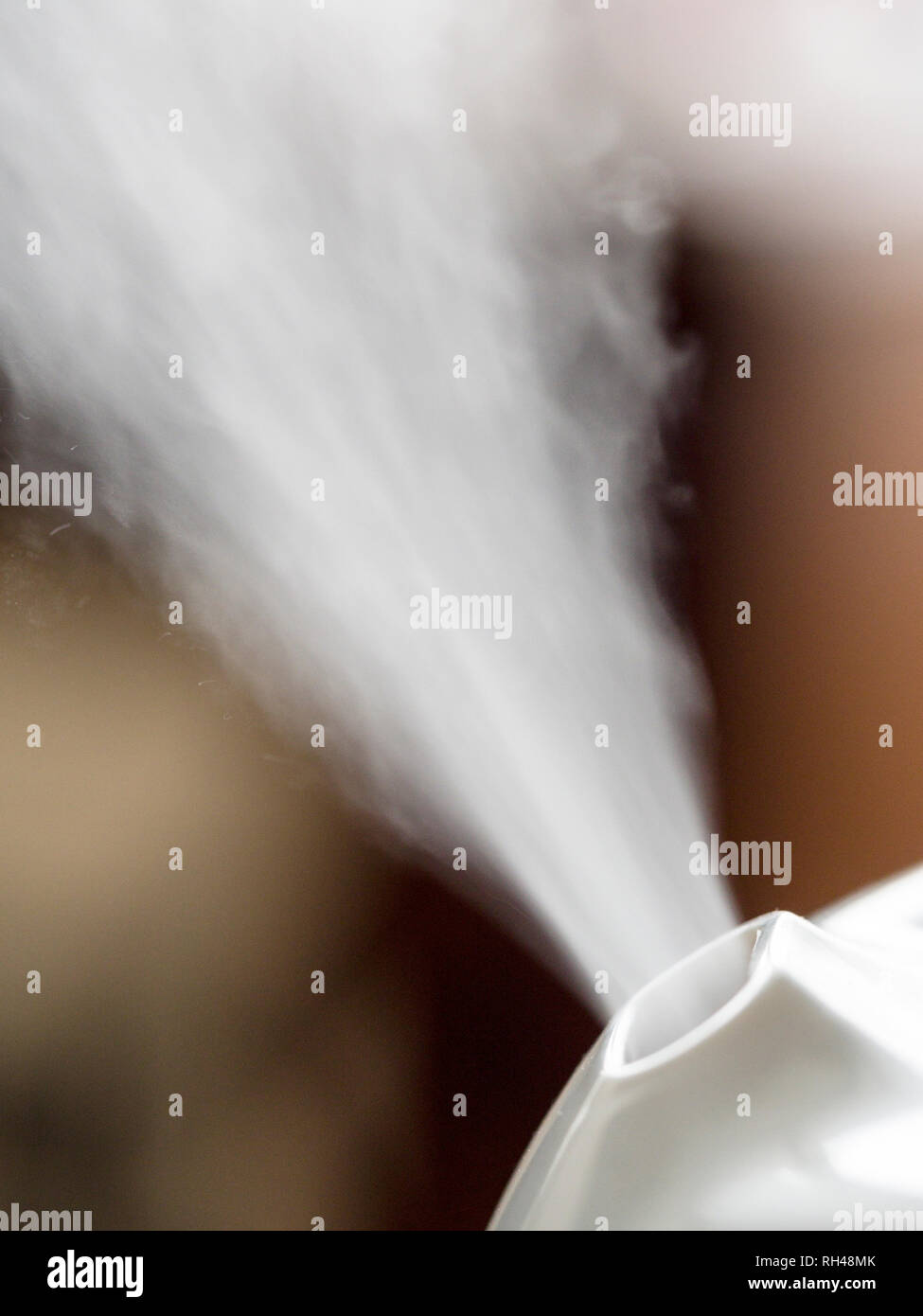 Nebbia fredda umidificatore: un nebulizzatore-basato umidificatore fuoriesce minuscole goccioline di acqua in aria per rais il tasso di umidità durante le fredde giornate invernali. Foto Stock