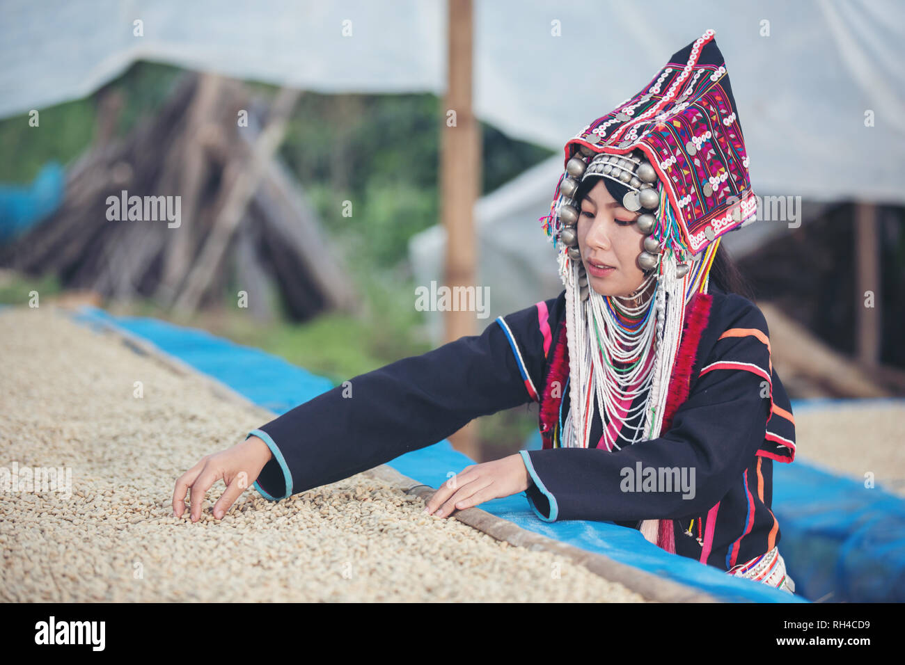 Le donne Akha sorrise e ammirato il caffè che è stato essiccato in casa, la tribù della collina caffè prodotti della Tailandia del Nord. Foto Stock