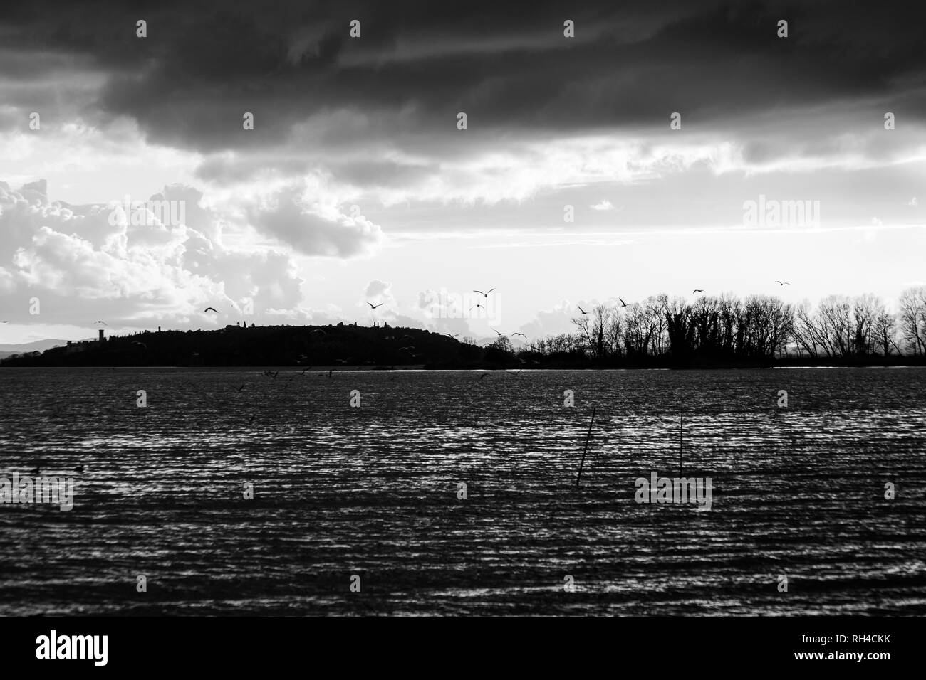 Uccelli in volo sul lago Trasimeno Foto Stock