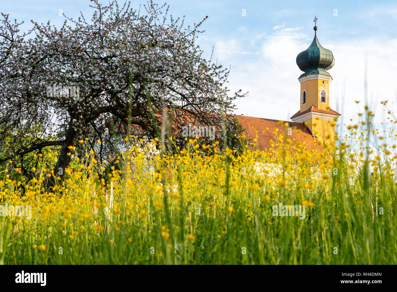 Barocco bavarese chiesa con una cupola a cipolla visto attraverso un prato in fiore Foto Stock