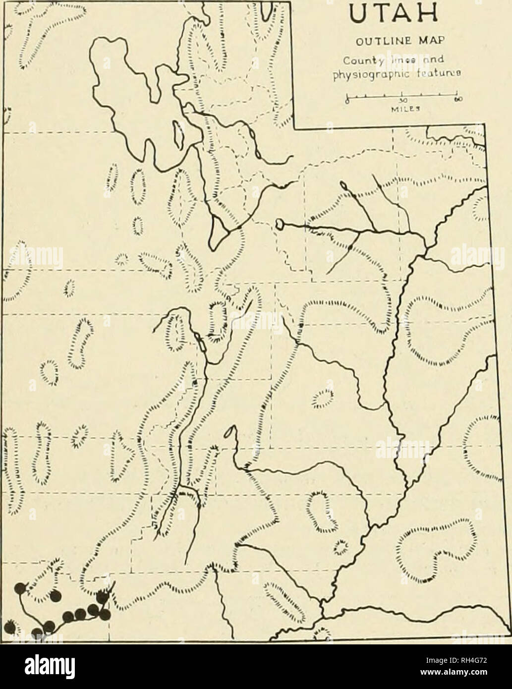 . La Brigham Young University science bollettino. Biologia -- periodici. 16 la Brigham Young University science bollettino Escalante,'. P. Cottam 4401, 19 giugno 1929 (UT); Grand Co., desolazione Canyon, E.H. Graham 10.036, 2 agosto 1935 (CM); Grand Co., Moab, K.S. Erdimii 192, luglio 27. 1960 (BRY); Ferro Co., il Cedar Creek, W.P^ Cottam 6742, 9 maggio 1936 (UT); San Juan Co., Bluff, AH. Holmgren. 3154, 9 maggio 1944 (US); San Juan Co., Bridge Canyon, A.H. Holm- gren &AMP; J.M. Goddard 9946. Maggio 6, J954 ,(NY); Uintah Co.; dinosauro Nat'l. Monu., E.H. Graham 7687, 17 maggio 1933 (CM); Washington Co., St. George, L. Foto Stock