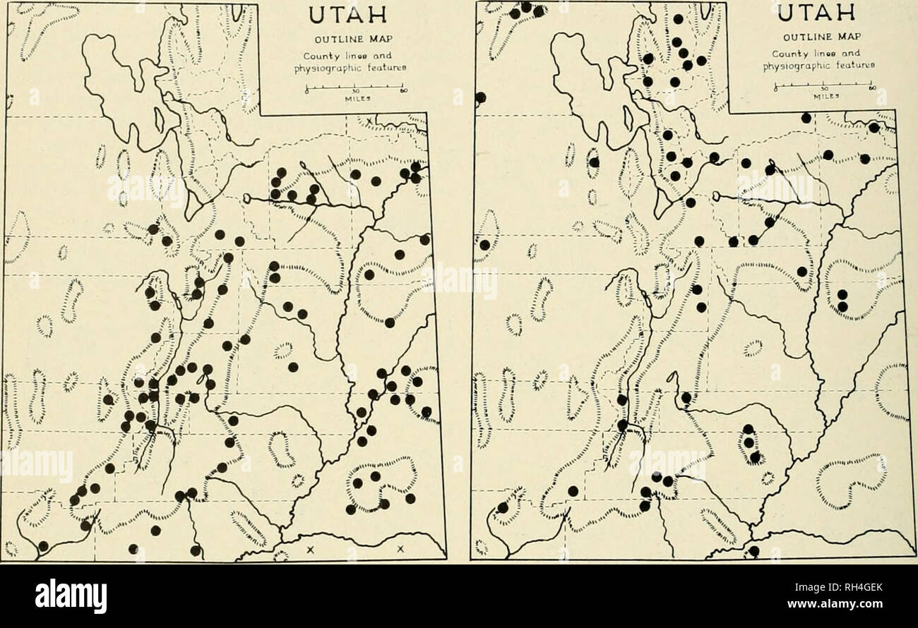 . La Brigham Young University science bollettino. Biologia -- periodici. La Brigham Young University science bollettino Utah mappa di contorno. Fig. 10. Pimis ediilis Engem. Campioni rappresentativi: Beaver Co., castoro, S.5. Hutch- rali 8444, 2 maggio 1938 (NY): carbonio Co., Prezzo, R. Hardv s.n. Maggio 20, 1937 (UT); Duchesne Co., Rosso Crecl&LT;, J. Brotherson 480, 20 luglio 1965 (BRY): Emery Co., Emery,/. Tidestrom 1422 Luglio 8, 1908 (US): Garfield Co.. Aquarius altopiano, Vickerv 615, 19 maggio 1956 (UT):Grand Co., archi N.M.. K.S. Erdman 188, 26 luglio 1960 (BRY): Kane Co., Kanab, Knudscn 39, Dicembre 29, 1950 BRY) Foto Stock