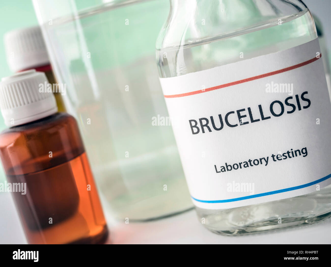 Brucellosi test in laboratorio, immagine concettuale, composizione in orizzontale Foto Stock