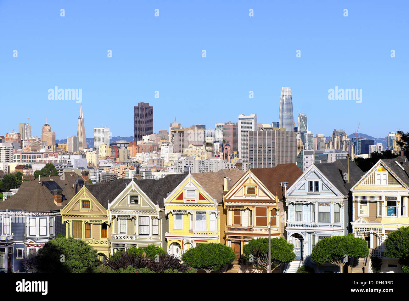 Stati Uniti, California, San Francisco: il Painted Ladies, Vittoriano e Edwardian case ed edifici ridipinto in tre o più colori, in Steiner Street, Foto Stock
