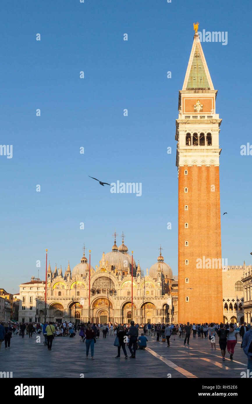 Piazza San Marco (Piazza San Marco), il Campanile e St Marks Cattedrale (Basilica di San Marco) al tramonto con turisti Venezia, Veneto, Italia Foto Stock