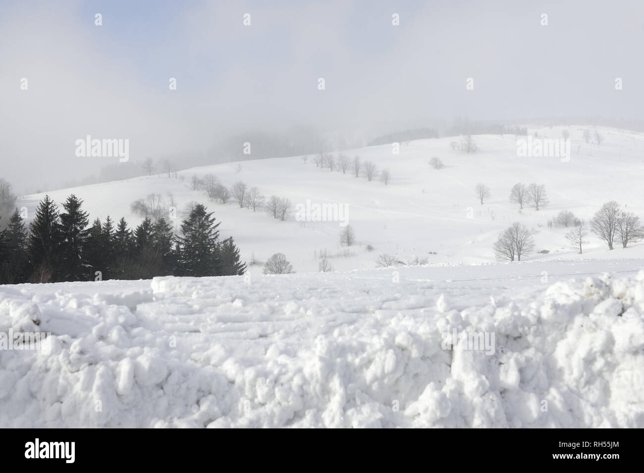 Aria, bellezza, meteo, terra, molla, inverno, naturale, animale, all'aperto, campo, paesaggio, stagione, legni, meteo Foto Stock