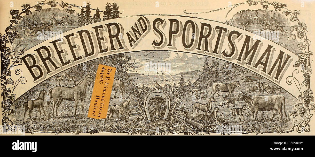 . Allevatore e sportivo. I cavalli. VOL. SLTI. No. 10. 36 Geary Street. SAN FRANCISCO, Sabato, 11 marzo 1905. Abbonamento a tre dollari l'anno. Si prega di notare che queste immagini vengono estratte dalla pagina sottoposta a scansione di immagini che possono essere state migliorate digitalmente per la leggibilità - Colorazione e aspetto di queste illustrazioni potrebbero non perfettamente assomigliano al lavoro originale. San Francisco, California. : [S. n. ] Foto Stock