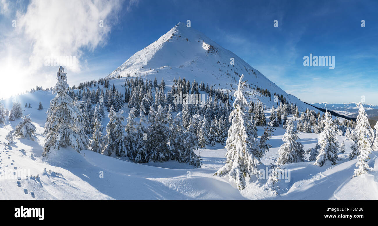 Incantevole paesaggio invernale delle montagne dei Carpazi. Petros picco coperto di neve. Foto Stock