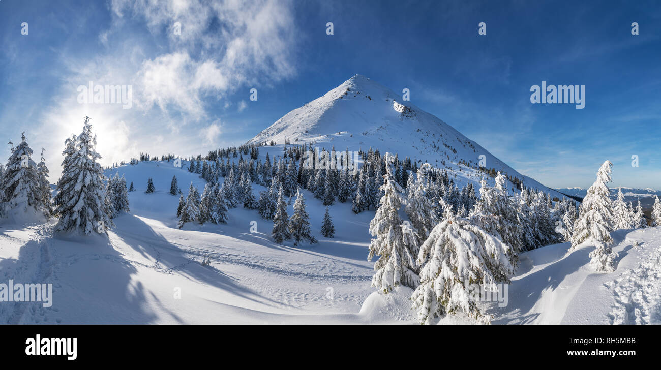 Incantevole paesaggio invernale delle montagne dei Carpazi. Petros picco coperto di neve. Foto Stock