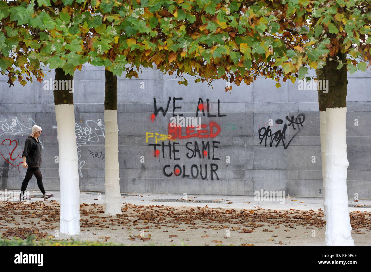 Graffiti su un muro a Bruxelles, in Europa che recita "noi tutti lo spurgo del medesimo colore' Foto Stock