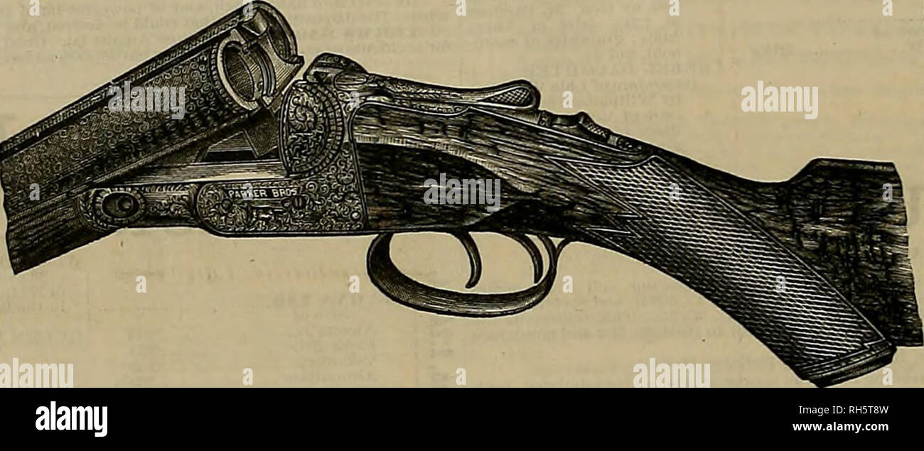 . Allevatore e sportivo. I cavalli. DCTC DI TUTTI I TIPI. Io ho tâ W cani una specialità. Più grande magazzino di W W GREENER, PARKER BROS , L. C. SMITH BRACCI LEPEVER CO., COLT. Clabrough.Golcher &AMP; Co, ^ilaBrLkBlf SPEC! DOQ medicinali. Collari, -:- catene -:- E -:- cablaggio. Informazioni per posta. B. STRAUSS, 411 Kearny San, San Franeinco CANI IN VENDITA. Puntatori nero GEORGE P. Jim P. E DOCTOK P.âall Derby vincitori. Anche BILLY P. (fratello di lettiera di sopra) e altri più giovani di cuccioli. Hanno anche un numero di Foxhounds inglese. Tassa di Slud Old Black Joe 2° e Sweep $25 eacli stipiti E. WATFON, P. O. Box 1838, o No. Foto Stock