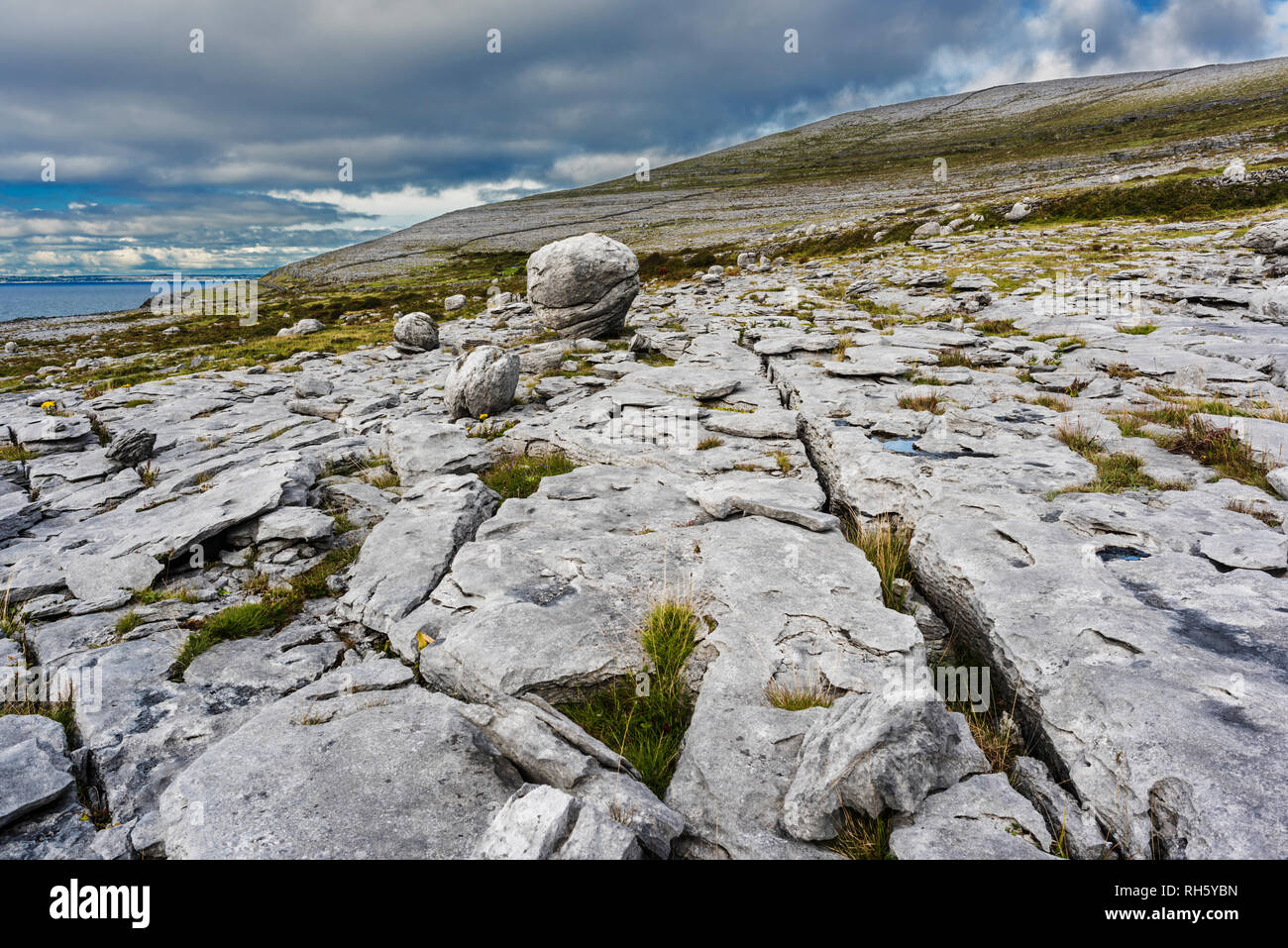 Massi erratici, depositati dai ghiacciai, sparsi lungo il marciapiede di calcare nei pressi di testa nera, Burren, County Clare, Irlanda Foto Stock