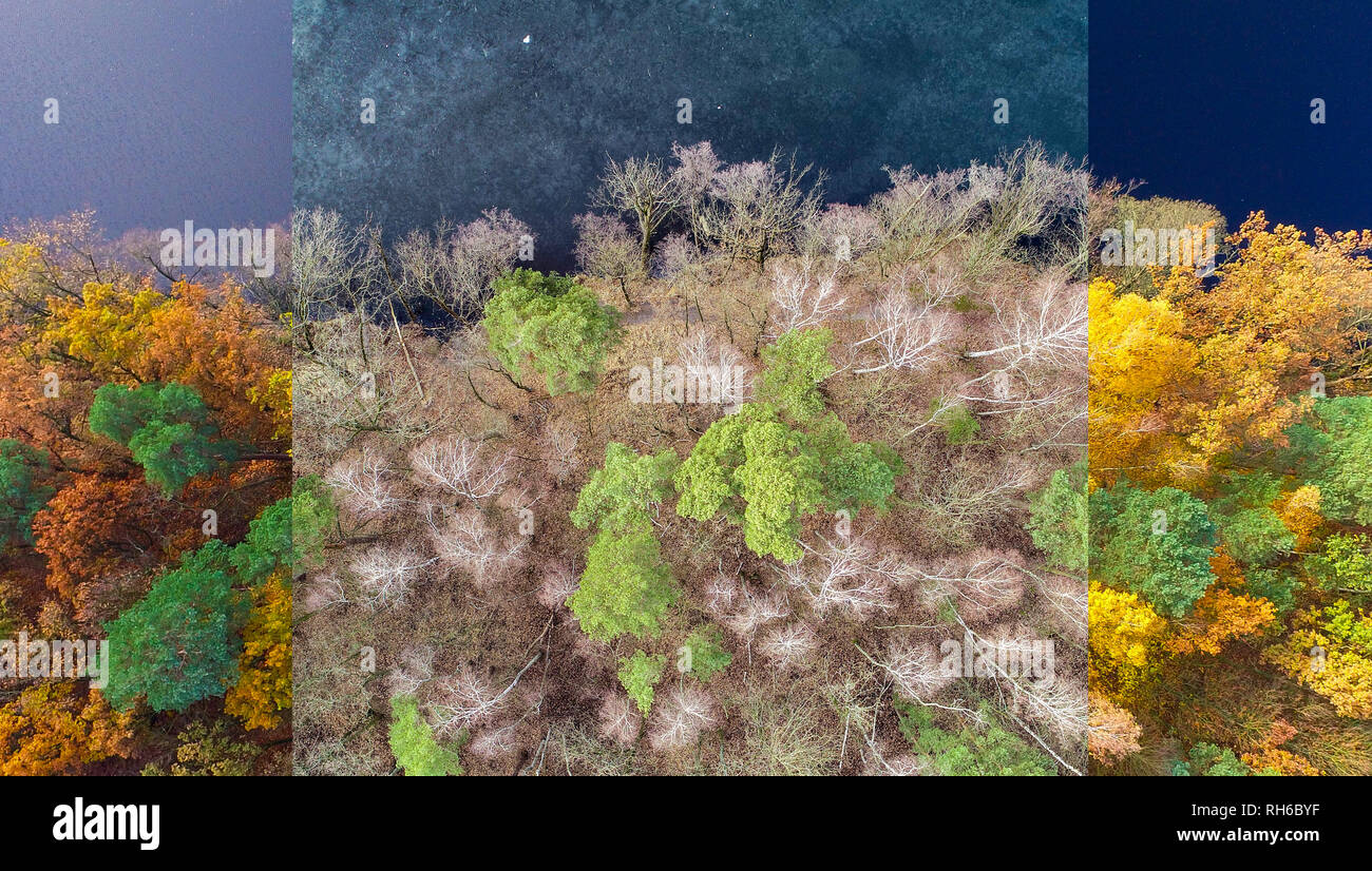 Treplin, Germania. 31 gennaio, 2019. Illustrazione: Foresta sulla riva del lago Trepliner (vista aerea con un drone). La stessa posizione è stata fotografata in autunno e in inverno. Le foto sono state sovrapposte con l'editing di immagini. Credito: Patrick Pleul/dpa-Zentralbild/ZB/dpa/Alamy Live News Foto Stock