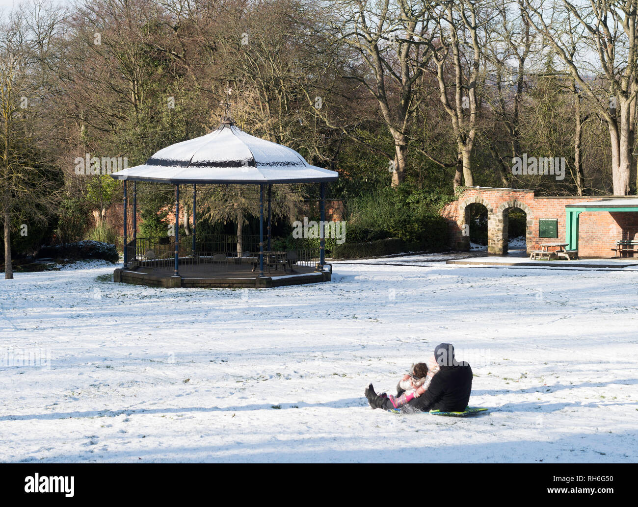 Gateshead, Regno Unito. Il 1° febbraio 2019. Un giorno di bufera di neve e sole ammessi questa famiglia a slitta in Saltwell Park, Gateshead. (C) il credito: Washington Imaging/Alamy Live News Foto Stock