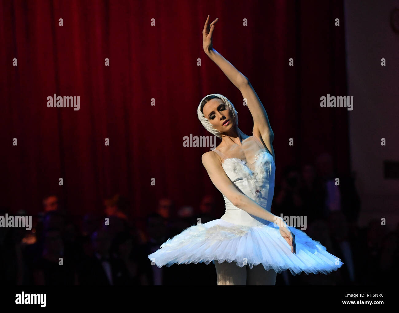 01 febbraio 2019, Sassonia, Dresda: Svetlana Zacharova appare al quattordicesimo Semper Opera sfera. Il motto di questo anno la palla è 'fascino Dresden - sogni". Foto: Jens Kalaene/dpa-Zentralbild/dpa Foto Stock