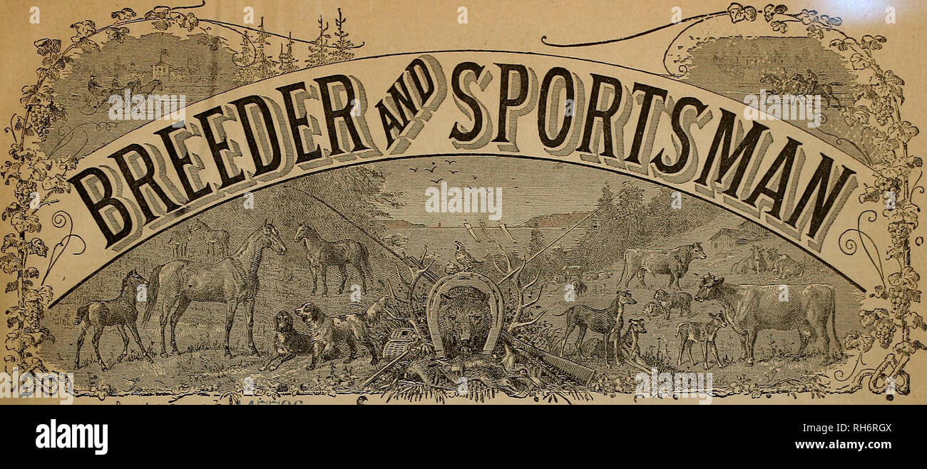 . Allevatore e sportivo. I cavalli. '^iiisi Vol. II. " NO 50S MONTG(5lIEKY STBEET. SAN FRANCISCO, Sabato, 6 gennaio 1883. Il sig. W. H. VANDERBILT stabile. Descrizione dei detenuti-Aldine's inganna" Aspetto, ecc. Siamo scese presso la stalla, angolo di cinquanta-second street e Madison Avenue, e mentre Dan è stato agganciato il cavallo, ho fatto un sondaggio esterno. Non è di aspetto imponente, ma un accogliente, solido-guardando a due piani in mattoni pressati e marrone edificio di pietra, con timpani e tetto di ardesia, dirige anche 75 piedi sulla cinquantaduesima street, e che si estende 100 piedi su Madison avenue. Ho successivamente lear Foto Stock