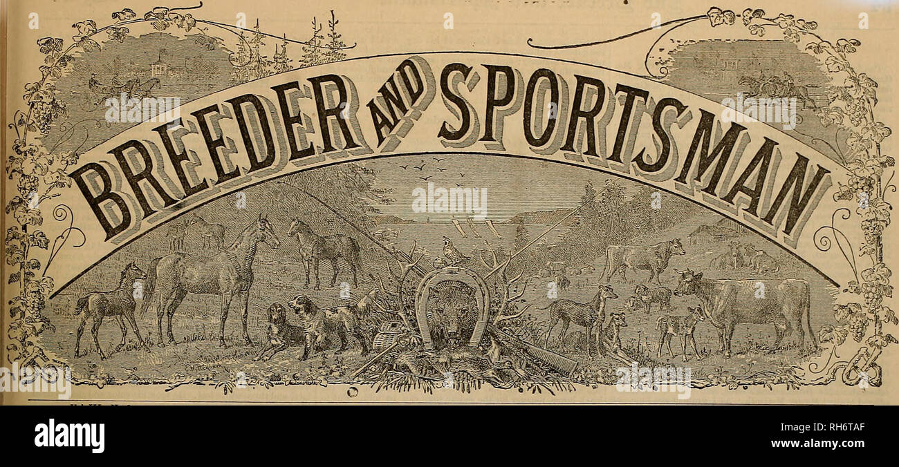 . Allevatore e sportivo. I cavalli. Vol. III. No. 3. N° 508 MONTGOMERY STREET. SAN FBANCISCO, sabato. Luglio 21, 1883. Pesce. Il Walton Fishing Club. Quei discepoli di ricreazione e -adoratori di aria fresca, i membri di The Walton Fishing Club, montata per ultima Domenica mattina alla fine dell' Meiggs wharf per uno di loro gioviale escursioni di pesca. Il sloop Eestless lay al pontile per portarli ai fondali di pesca, ma al tempo impostato per l'avvio, 8 a. m., poco i tre parlamentari avevano mostrato in alto. " Io non riesco a capire questo ritardo, ha sottolineato il sig. Fogg, come egli ha cancellato dal suo brow pe Foto Stock