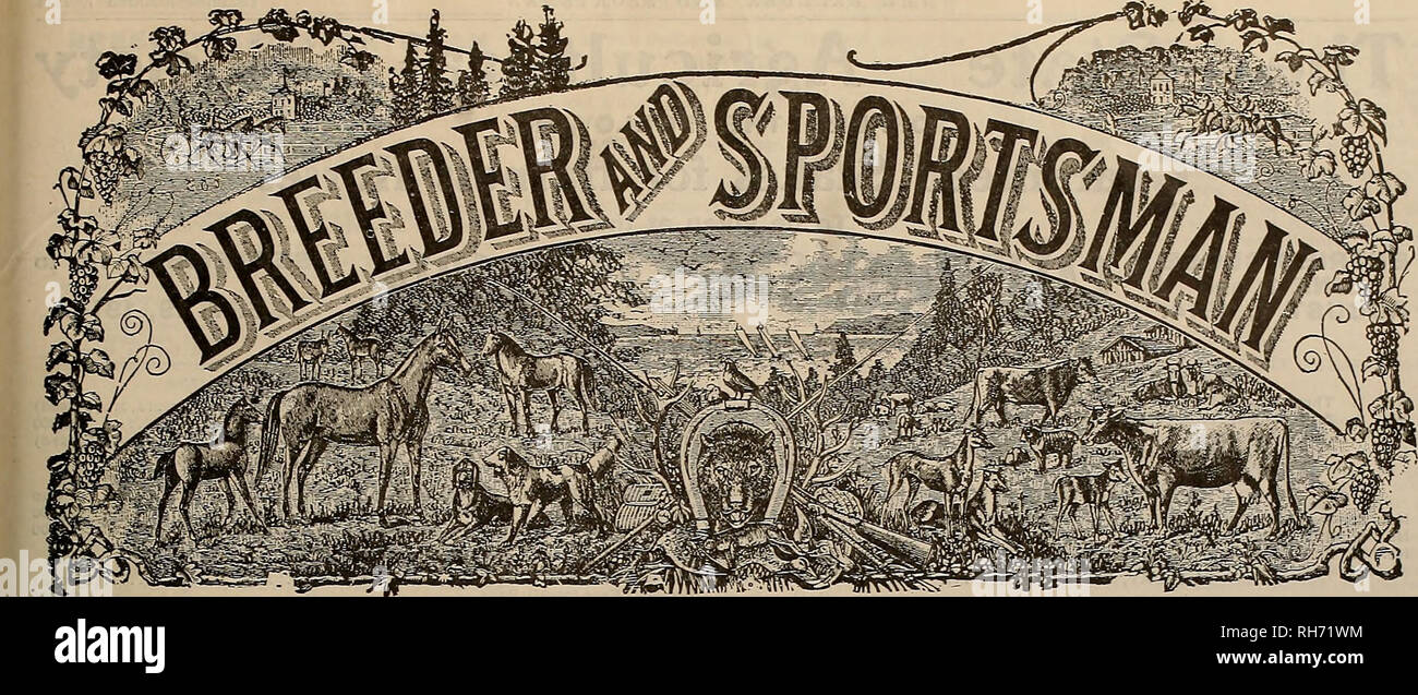 . Allevatore e sportivo. I cavalli. VOLUME LXIV. No. 10. SAN FRANCISCO, sabato 7 marzo. 1914. Abbonamento-$3.00 per anno. Si prega di notare che queste immagini vengono estratte dalla pagina sottoposta a scansione di immagini che possono essere state migliorate digitalmente per la leggibilità - Colorazione e aspetto di queste illustrazioni potrebbero non perfettamente assomigliano al lavoro originale. San Francisco, California. : [S. n. ] Foto Stock
