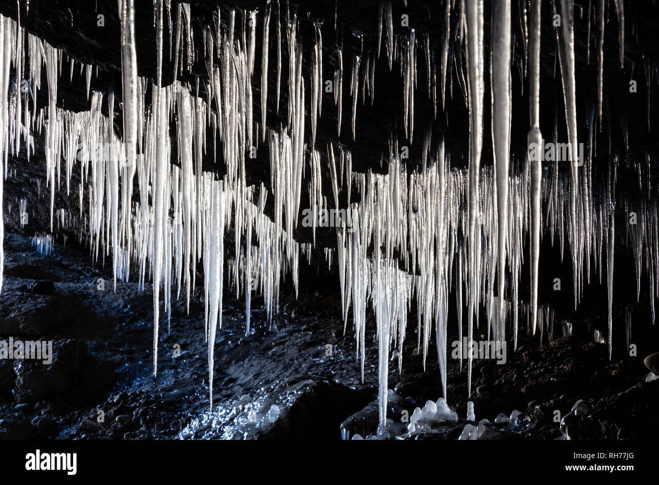 Stalattiti di ghiaccio nella grotta Foto Stock