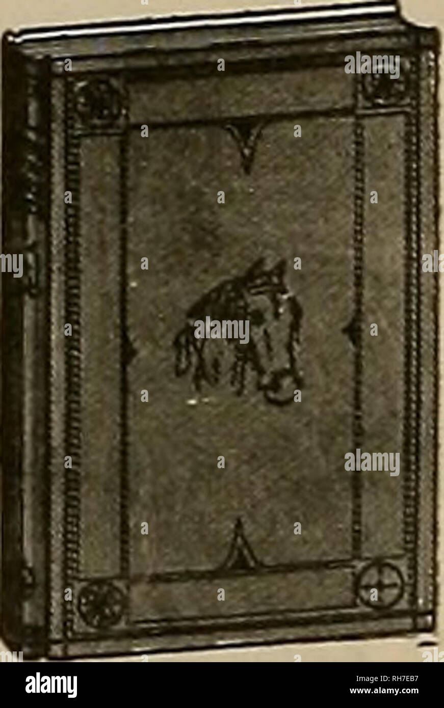 . Allevatore e sportivo. I cavalli. Malattie del cavallo e come trattarli Ity Kobert Chawner. Nuova edizione e conciso l'uomo- ual di Patologia speciale per l'uso di cavalieri, agricoltori, sollevatori di stock e gli studenti degli istituti agricoli. Completamente illustrato. Rilegato in tela. Dimensioni, 54 x 7£ Poll Tela $1 25. -Si tratta di un trattato unpretending privo di tecnicismi e ben adatta ad uso degli agricoltori e coltivatori stouk. Lo scopo del dottor Chawner era quello di rendere una popolare e reimuio iiauonook in quel Dipartimento di scienza veterinaria che tratta del cavallo e le sue malattie e a questo scopo egli Foto Stock