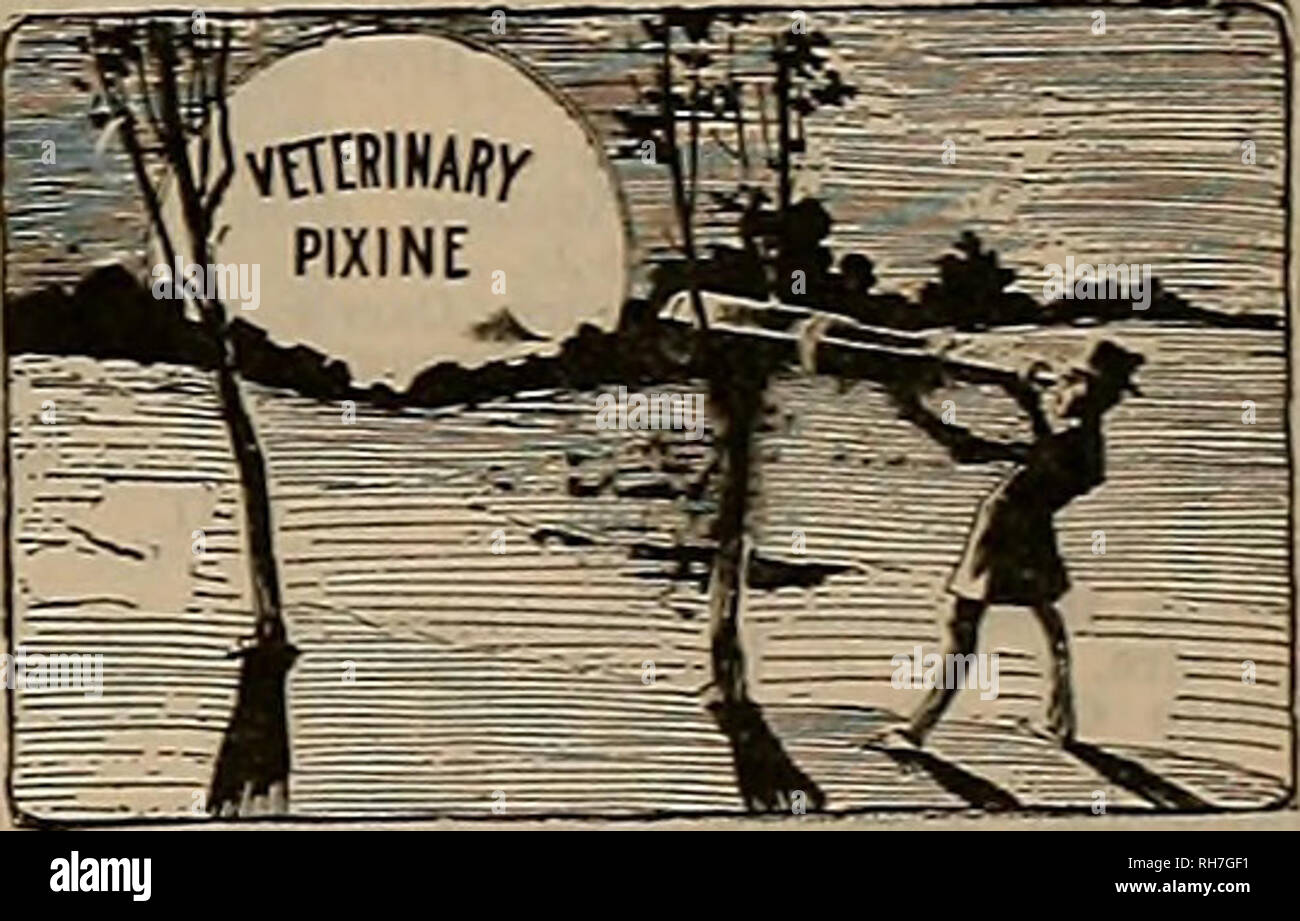 . Allevatore e sportivo. I cavalli. Sommario dei tre di Eonnle Dlreot"e gare. Camera di Commercio di pali, $5.000, a Detroit. Bonnie Direct 9 5 8 111 Annie Thornton 14 1 12 2 2 Hal McEwen 1 II 2 8 4dis Pussywillow 8 3 11 3 3 ro George C. 3 4 3 4 5 ro. Cobbett 4 7 4 5 dr, duchessa 11 13 5 6 Dr Joe Wheeler 12 9 7 7 dr. Fred Wilton 2 2 9 dis, Mt Clemens Boy 5 6 6 dr. Louis E. Mid- die ton 6 8 12 dr, Sport 7 10 10 il dr. Gamecock 10 12 dr, Connie 13 dr, poco Frank dis. Tempo2-.10K, %12&amp;, 2:13JÂ£, 2:13, 2:12h, 2:I2&amp;. 2:!3 Classe, stimolazione borsa $1.500, a Columbus. Bonnie Direct 2 5 111 Johnnv un Foto Stock