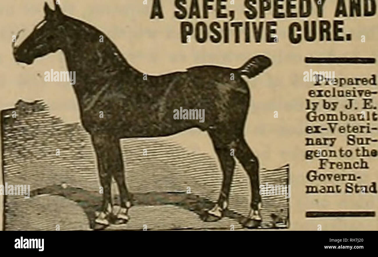 . Allevatore e sportivo. I cavalli. 282 venerdì 27 aprile. Cinque furlongs- vendita. Maidens tre anni e verso l'alto- Borsetta ?300-Spike 96 (H. stuart) da 9 a 1 ha vinto. Finder oro 106 secondo, giovani Morello 104 Terzo, Letiger, Xettie Clark. Awahnee, Miss immergere, St. Germain, Lion d'Or, Lew Zara, Rosso Cher y. Palatino. Tempo 1:02. Un miglio. Vendita. Quattro anni e verso l'alto. Borsetta 8300- Lou Rey 109 (J. Legno) da 5 a 1 ha vinto, Moringa 110 secondo, dolore lt9 terza- Ulm, Romany, Prato allodola, Los Prieios, Nilgar, perso iGLrl, Twinkle tw.nk. 1 Ime 1:42. 4 furlongs. Due anni di fillies. Borsetta 83-50-Omaggio 110 (H. Sh Foto Stock