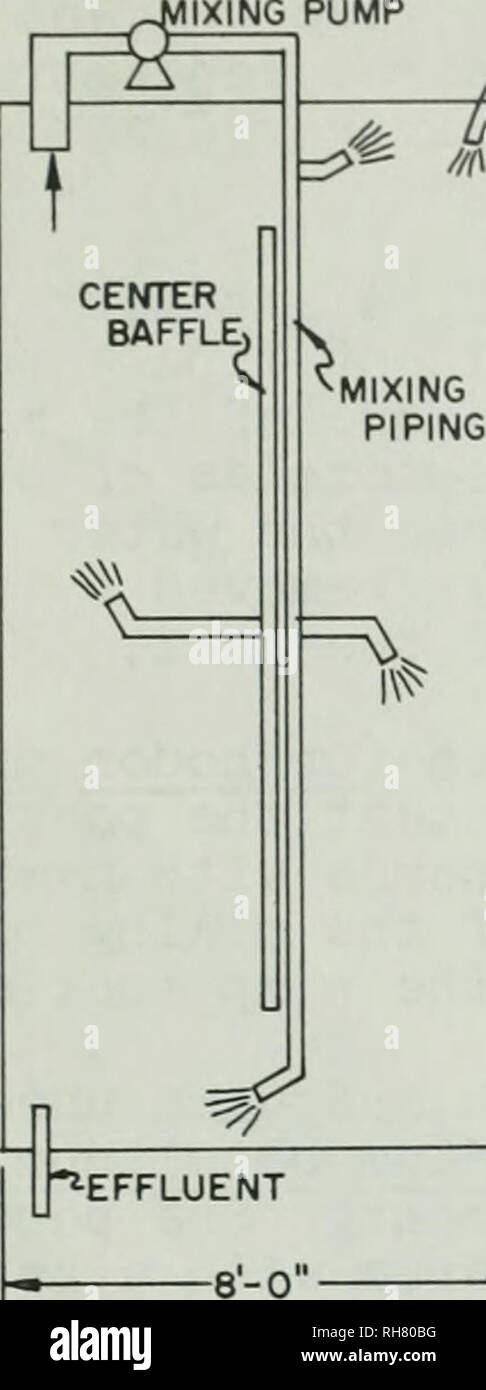. Distacco del nitrato da un sistema di alghe. Acqua; nitrati; acqua; Alghe. Influente di ^affluente (IIXING pompa. Influente di /influenti di pompa di miscelazione (a^ r -.-oJi IIttI. ^ ti4'. w //^ //^ ii - centro isola -effluente 8-0" STANDARD STAGNO Stagno modificati figura 5- MINIPOND DISEGNI UTILIZZATI A I. A.W. TC. volume e, se i metri erano imprecise, i tubi di vetro e acciaio inossidabile galleggianti sono state pulite in un potassio di- cromato-acido solforico soluzione detergente e poi recali- brated. Le sostanze nutrienti sono stati aggiunti ai singoli stagni o al laghetto di storage. Il grado tecnico nitrato di sodio è stata aggiunta alla st Foto Stock