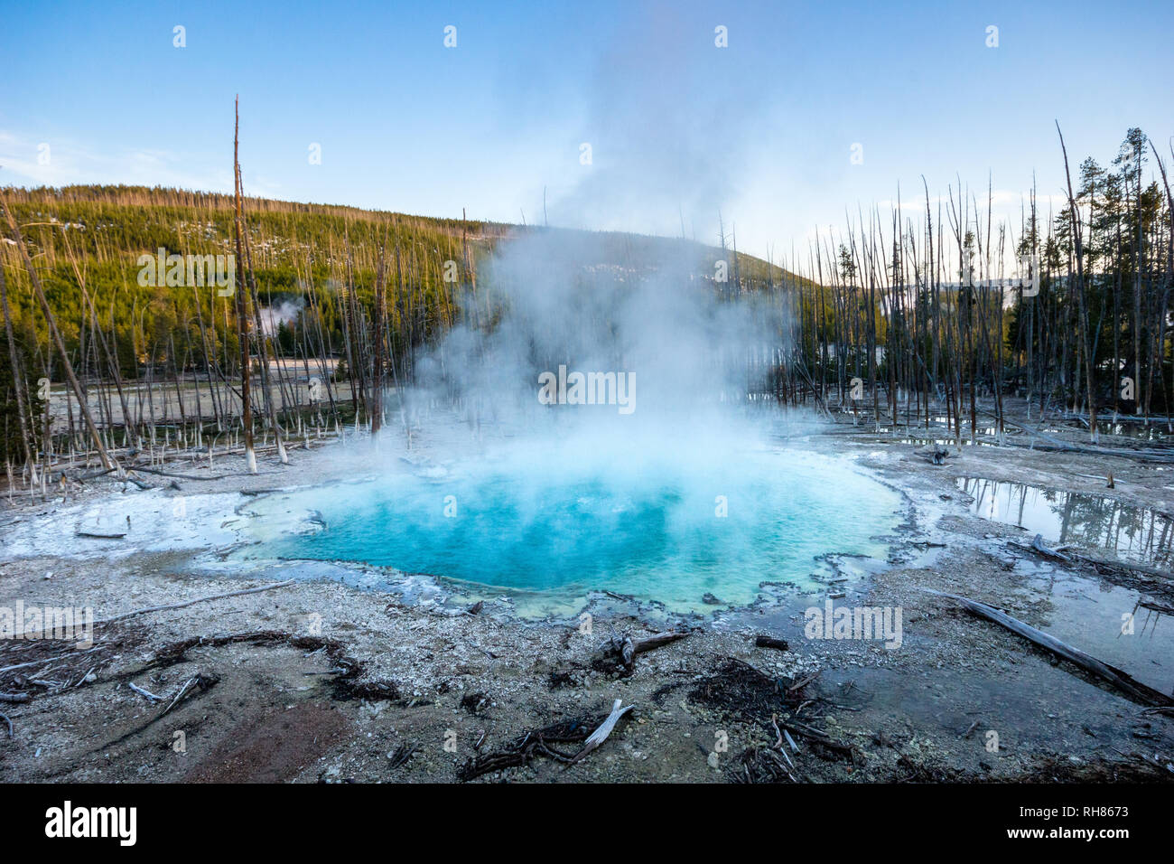 Una fumante primavera calda a Norris Geyser Basin a Yellowstone Nationalpark, Wyoming Foto Stock