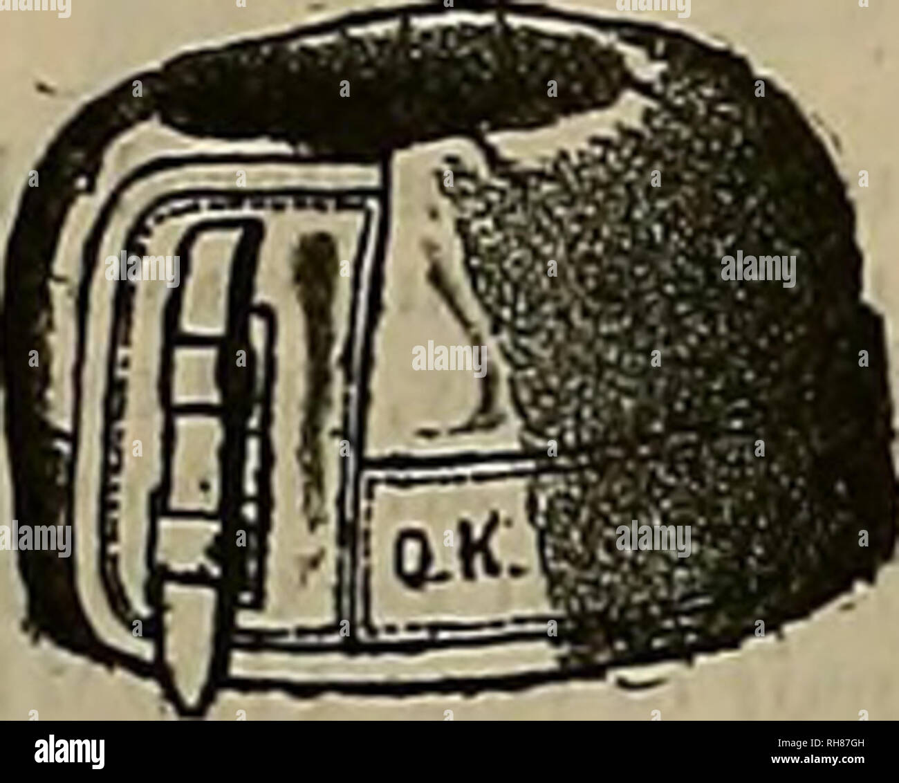 . Allevatore e sportivo. I cavalli. TOOMEY -: più recente di travatura reticolare estesa pneumatico assale SULKY nove brevetti. Cablaggio - e - Cavallo - stivali. Offerte speciali sulla via cavo. MOFFATT CABLAGGIO IN PELLE, linea finito tutti attraverso, luce supplementare $40 Questo è un LAIiOAIN. prezzi speciali. Bendaggi elettrici - - $1.50 inglese sacchi di sale - 2000 a portata di mano. Solo questo mese 3 dollari al doz UNA NUOVA LINEA DI RAFFREDDAMENTO coperte extra dualità Fine a prezzi bassi. Il sudore di coperte e i cofani; grande magazzino, tutti i pesi. Agente per TOOMEY'S SULKIES "rr TUT QETOT " HICKORY delle ruote di bicicletta Jt C. I I rl C. E3C.O I . (Mettere su Sulkies per 8 IOO Foto Stock