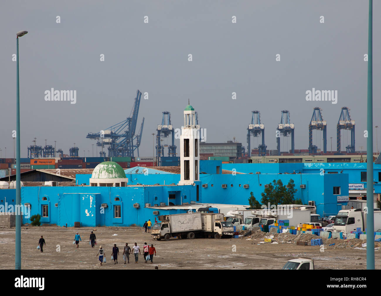 Mercato del pesce del porto, Mecca provincia, Jeddah, Arabia Saudita Foto Stock