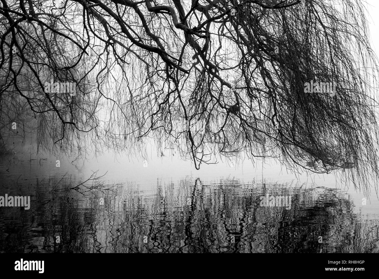 Un terribilmente freddo inverno mattina a Colwick Park di NOTTINGHAM, NOTTINGHAMSHIRE REGNO UNITO Inghilterra Foto Stock