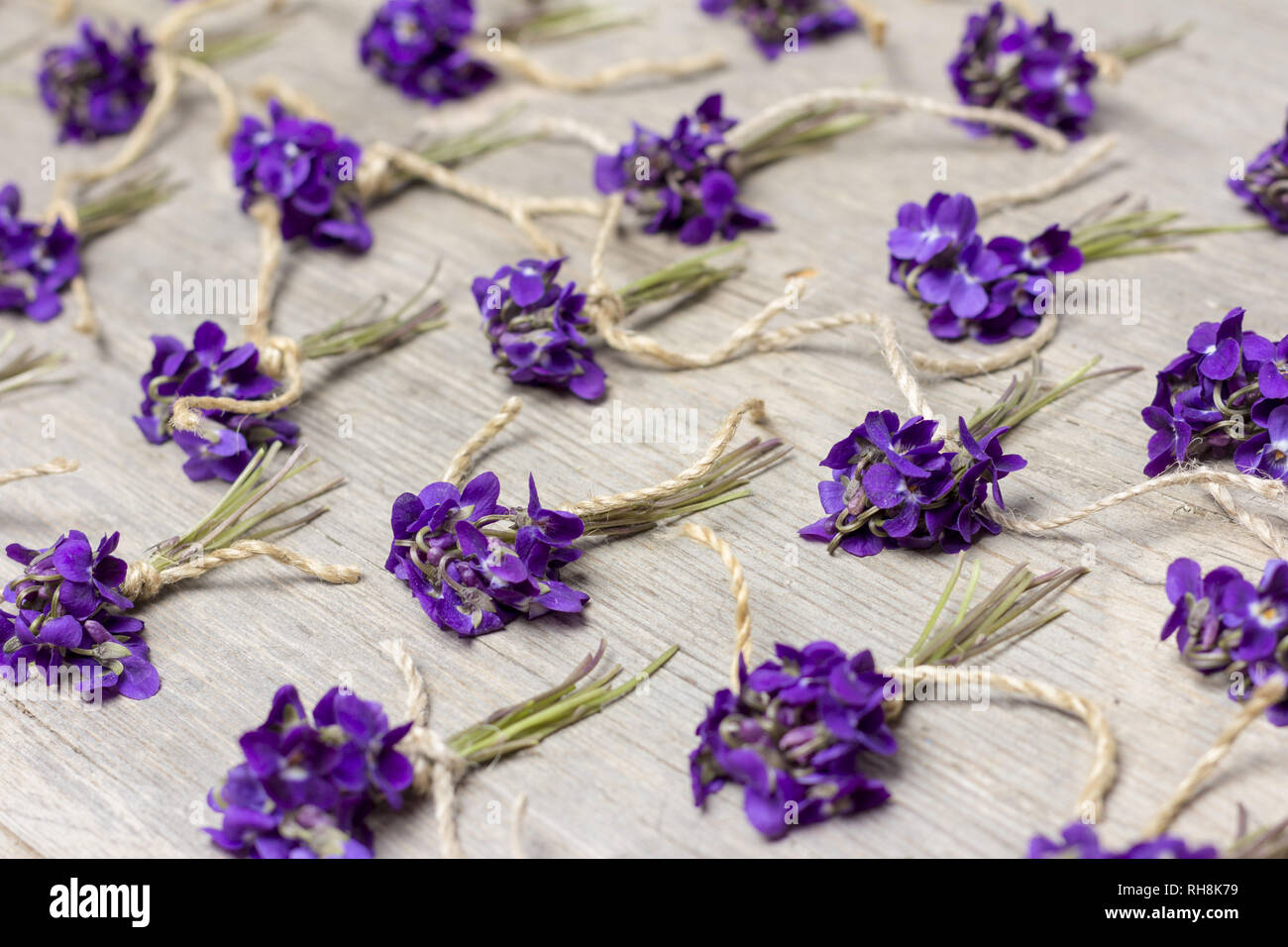 Piccoli mazzi di fiori di bosco profumati fiori viola sul vecchio sfondo di legno Foto Stock