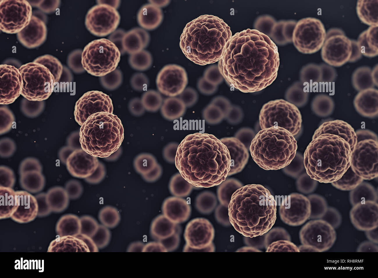 Gruppo di cellule cancerose in un microscopio Foto Stock