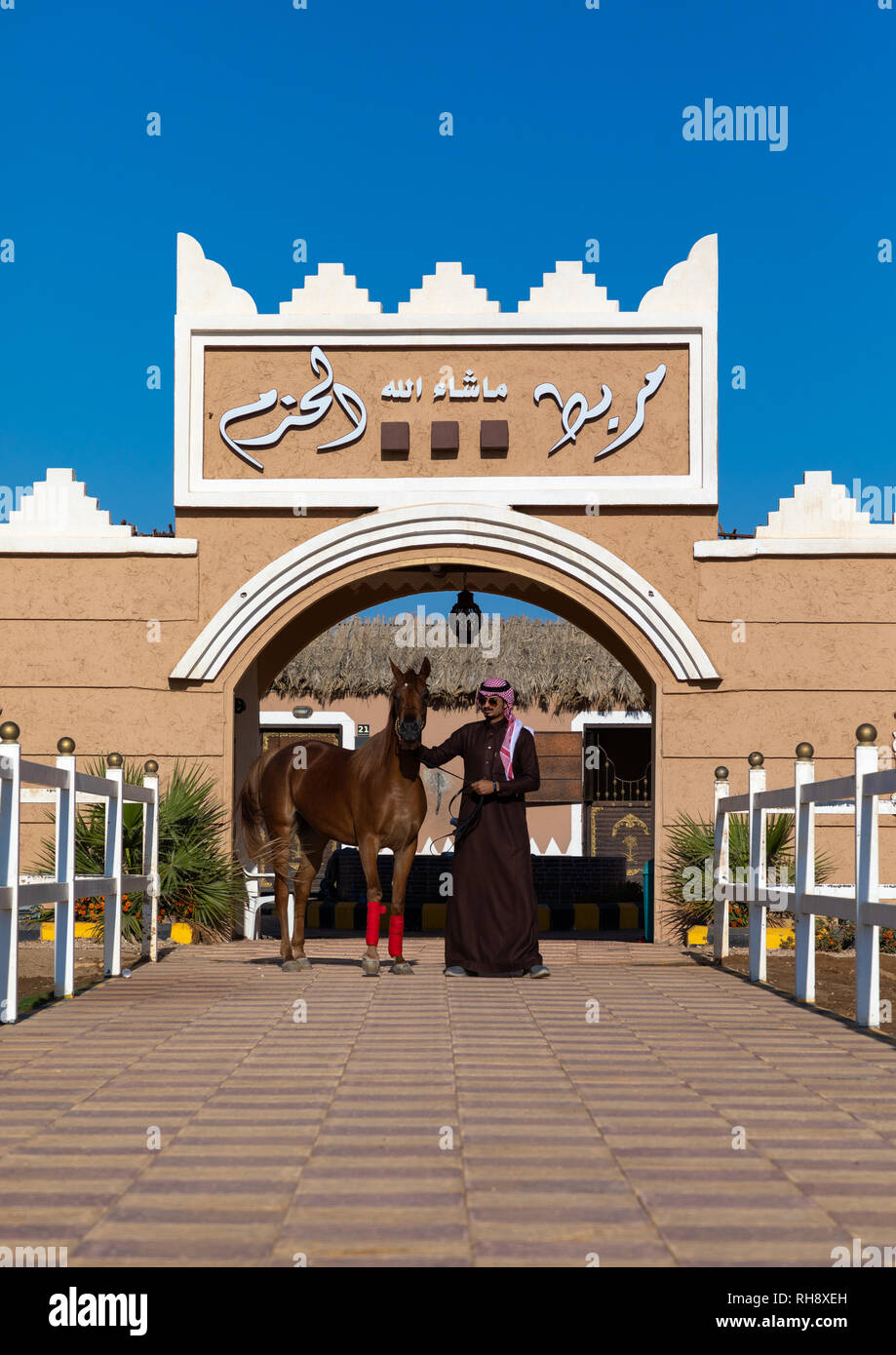 Arabia l uomo con il suo cavallo arabo nel prigioniero Alhazm, provincia di Najran, Khubash, Arabia Saudita Foto Stock